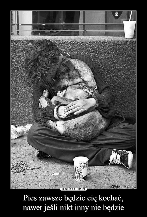 Pies zawsze będzie cię kochać,nawet jeśli nikt inny nie będzie –  