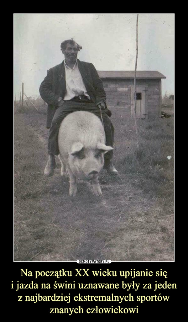Na początku XX wieku upijanie sięi jazda na świni uznawane były za jeden z najbardziej ekstremalnych sportów znanych człowiekowi –  