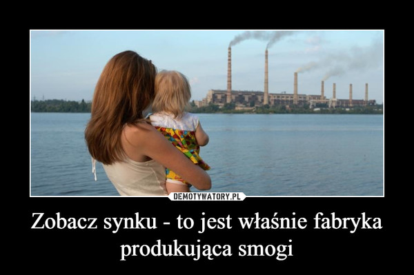 Zobacz synku - to jest właśnie fabryka produkująca smogi –  