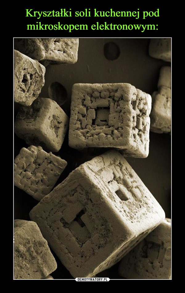 Kryształki soli kuchennej pod mikroskopem elektronowym: