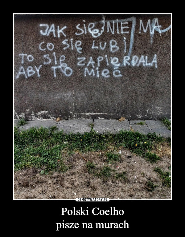 Polski Coelhopisze na murach –  