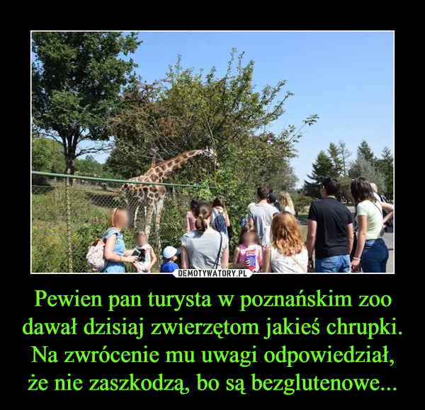 Pewien pan turysta w poznańskim zoo dawał dzisiaj zwierzętom jakieś chrupki. Na zwrócenie mu uwagi odpowiedział, że nie zaszkodzą, bo są bezglutenowe... –  