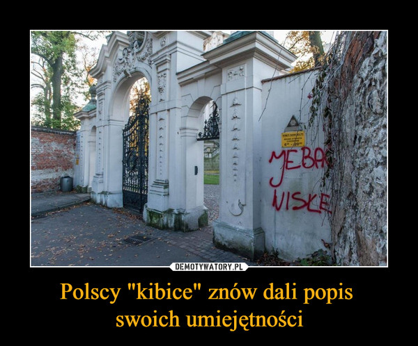 Polscy "kibice" znów dali popis 
swoich umiejętności