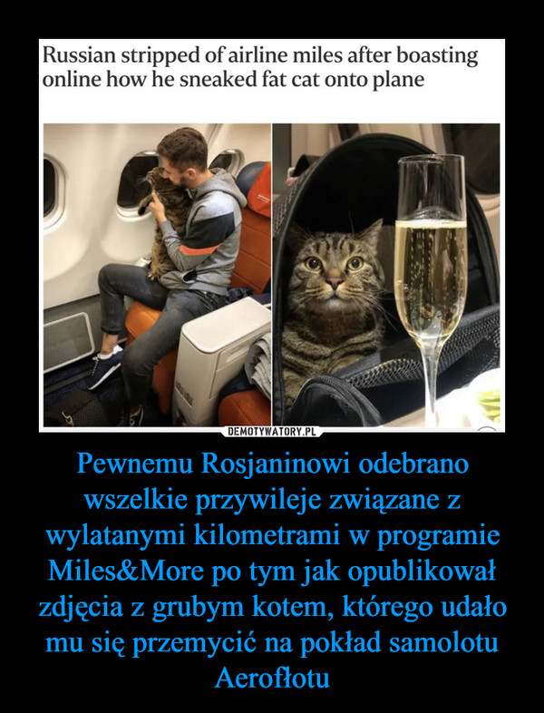 Pewnemu Rosjaninowi odebrano wszelkie przywileje związane z wylatanymi kilometrami w programie Miles&More po tym jak opublikował zdjęcia z grubym kotem, którego udało mu się przemycić na pokład samolotu Aerofłotu –  