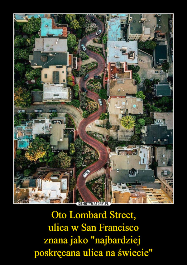 Oto Lombard Street,ulica w San Franciscoznana jako "najbardziej poskręcana ulica na świecie" –  