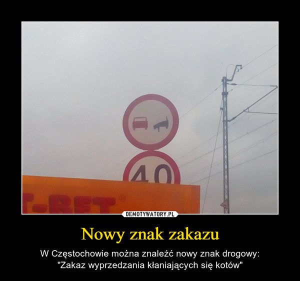 Nowy znak zakazu – W Częstochowie można znaleźć nowy znak drogowy:"Zakaz wyprzedzania kłaniających się kotów" 