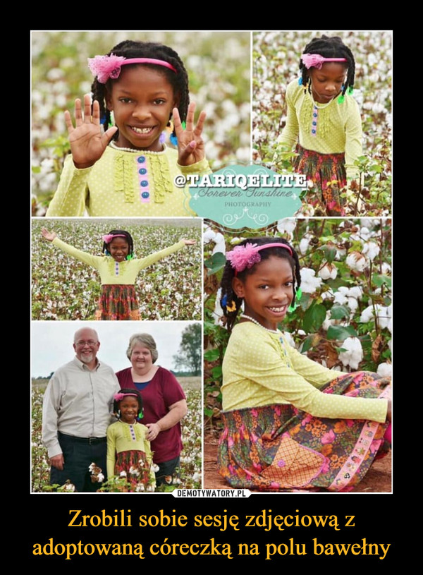 Zrobili sobie sesję zdjęciową z adoptowaną córeczką na polu bawełny –  