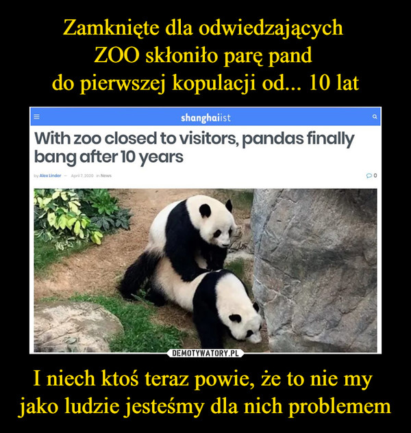 Zamknięte dla odwiedzających 
ZOO skłoniło parę pand 
do pierwszej kopulacji od... 10 lat I niech ktoś teraz powie, że to nie my 
jako ludzie jesteśmy dla nich problemem