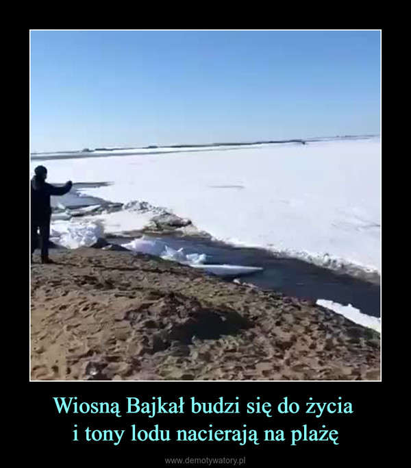 Wiosną Bajkał budzi się do życia i tony lodu nacierają na plażę –  