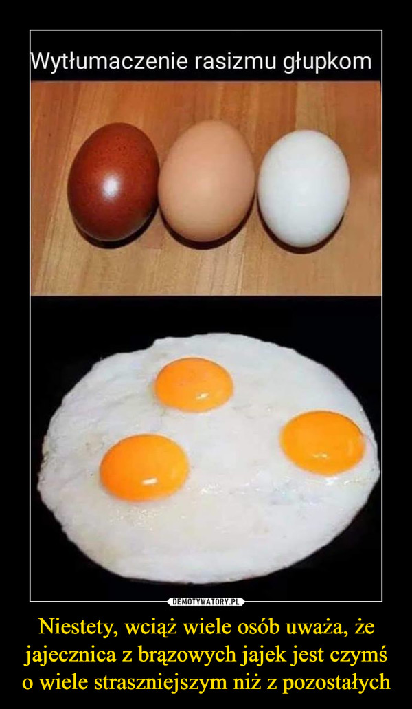 Niestety, wciąż wiele osób uważa, że jajecznica z brązowych jajek jest czymś o wiele straszniejszym niż z pozostałych