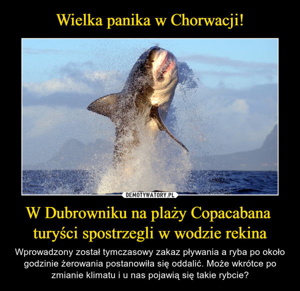 Wielka panika w Chorwacji! W Dubrowniku na plaży Copacabana 
turyści spostrzegli w wodzie rekina