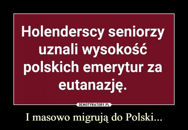 I masowo migrują do Polski...