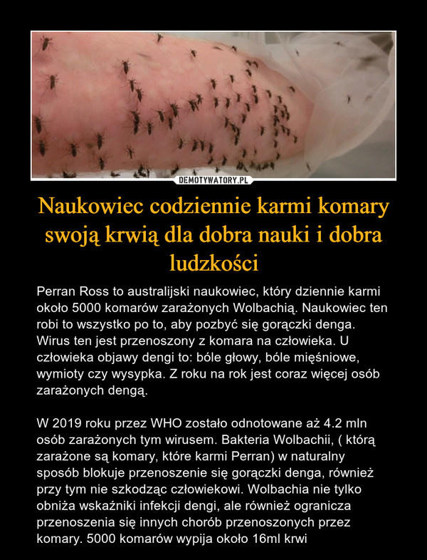 Naukowiec codziennie karmi komary swoją krwią dla dobra nauki i dobra ludzkości