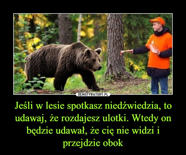 Jeśli w lesie spotkasz niedźwiedzia, to udawaj, że rozdajesz ulotki. Wtedy on będzie udawał, że cię nie widzi i przejdzie obok –  