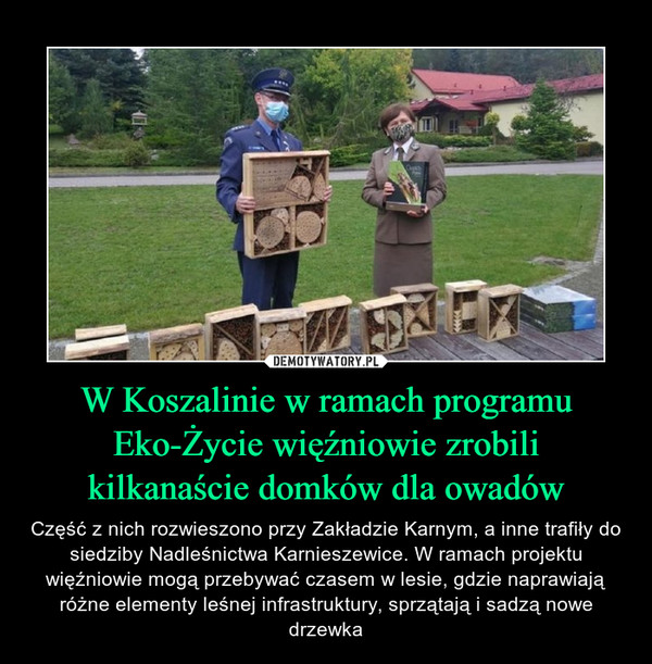W Koszalinie w ramach programu Eko-Życie więźniowie zrobili
kilkanaście domków dla owadów