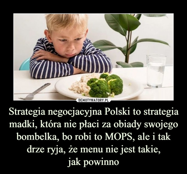 Strategia negocjacyjna Polski to strategia madki, która nie płaci za obiady swojego bombelka, bo robi to MOPS, ale i tak drze ryja, że menu nie jest takie,jak powinno –  