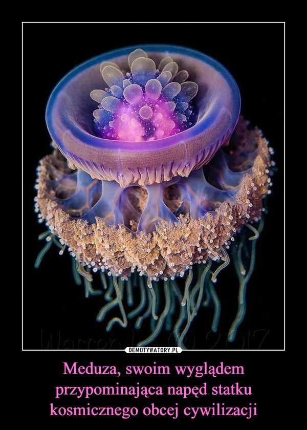 Meduza, swoim wyglądem przypominająca napęd statku kosmicznego obcej cywilizacji –  