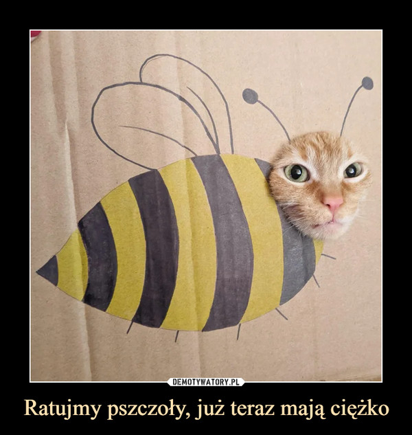 Ratujmy pszczoły, już teraz mają ciężko –  