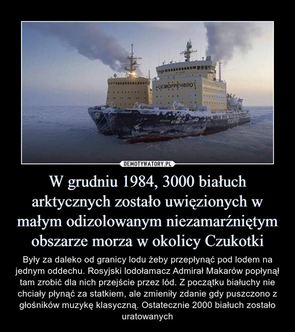 W grudniu 1984, 3000 białuch arktycznych zostało uwięzionych w małym odizolowanym niezamarźniętym obszarze morza w okolicy Czukotki – Były za daleko od granicy lodu żeby przepłynąć pod lodem na jednym oddechu. Rosyjski lodołamacz Admirał Makarów popłynął tam zrobić dla nich przejście przez lód. Z początku białuchy nie chciały płynąć za statkiem, ale zmieniły zdanie gdy puszczono z głośników muzykę klasyczną. Ostatecznie 2000 białuch zostało uratowanych 