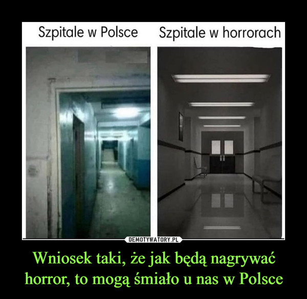 Wniosek taki, że jak będą nagrywać horror, to mogą śmiało u nas w Polsce –  