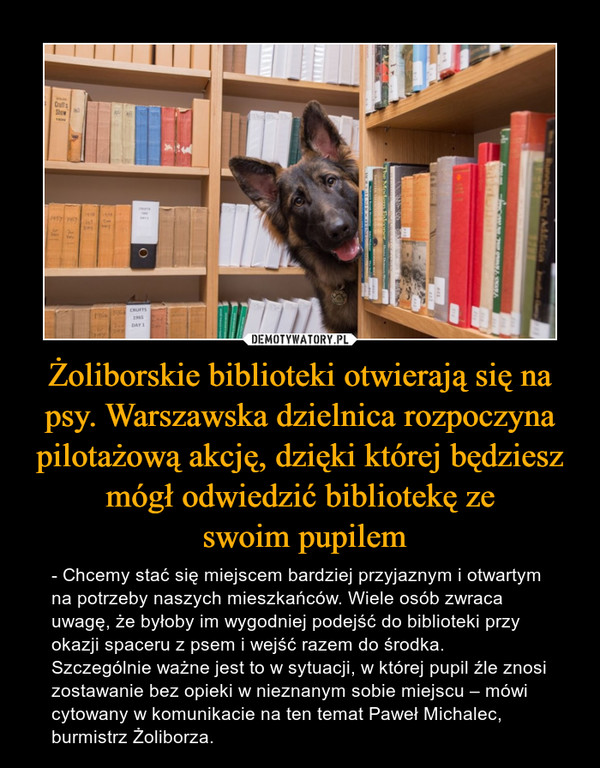 Żoliborskie biblioteki otwierają się na psy. Warszawska dzielnica rozpoczyna pilotażową akcję, dzięki której będziesz mógł odwiedzić bibliotekę ze
 swoim pupilem