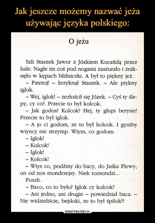 Jak jeszcze możemy nazwać jeża używając języka polskiego: