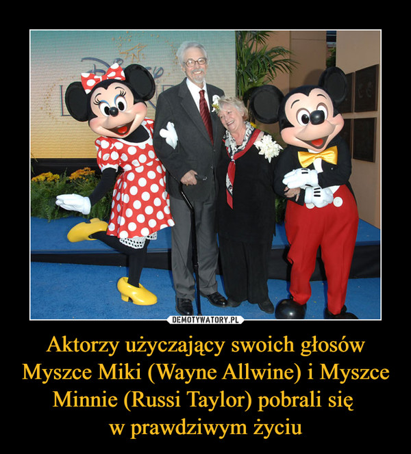 Aktorzy użyczający swoich głosów Myszce Miki (Wayne Allwine) i Myszce Minnie (Russi Taylor) pobrali się 
w prawdziwym życiu