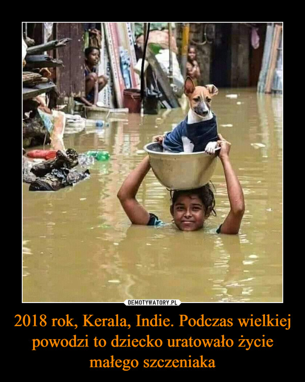 2018 rok, Kerala, Indie. Podczas wielkiej powodzi to dziecko uratowało życie małego szczeniaka –  