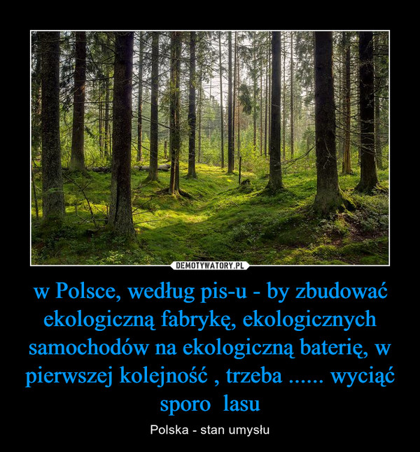 w Polsce, według pis-u - by zbudować ekologiczną fabrykę, ekologicznych samochodów na ekologiczną baterię, w pierwszej kolejność , trzeba ...... wyciąć sporo  lasu