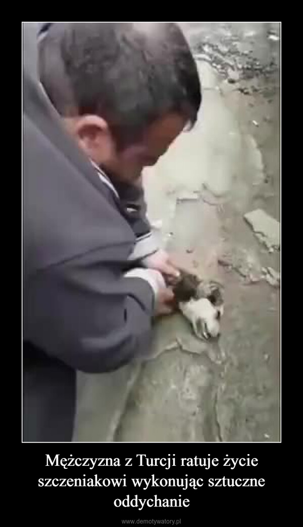 Mężczyzna z Turcji ratuje życie szczeniakowi wykonując sztuczne oddychanie –  