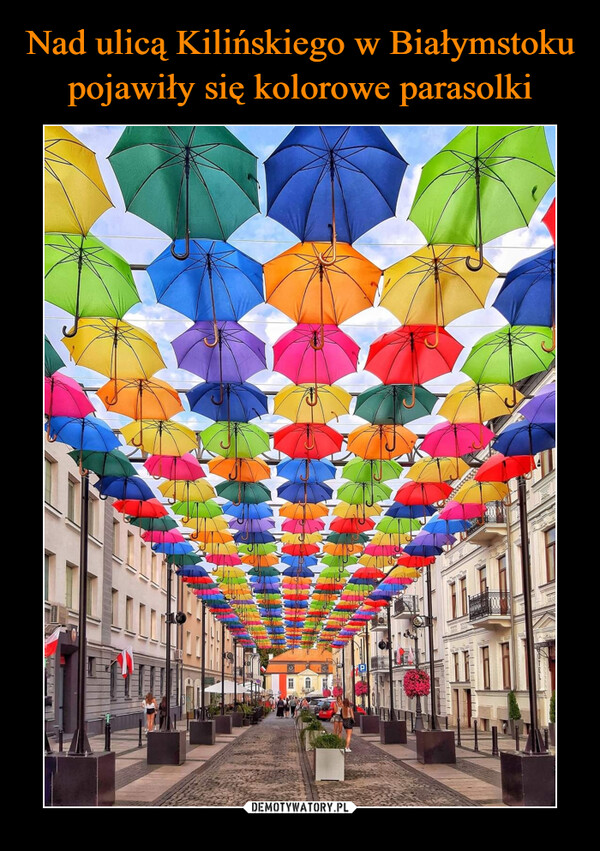 Nad ulicą Kilińskiego w Białymstoku pojawiły się kolorowe parasolki
