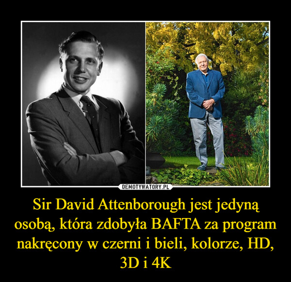 Sir David Attenborough jest jedyną osobą, która zdobyła BAFTA za program nakręcony w czerni i bieli, kolorze, HD, 3D i 4K