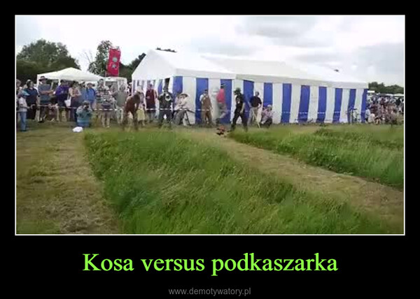 Kosa versus podkaszarka –  