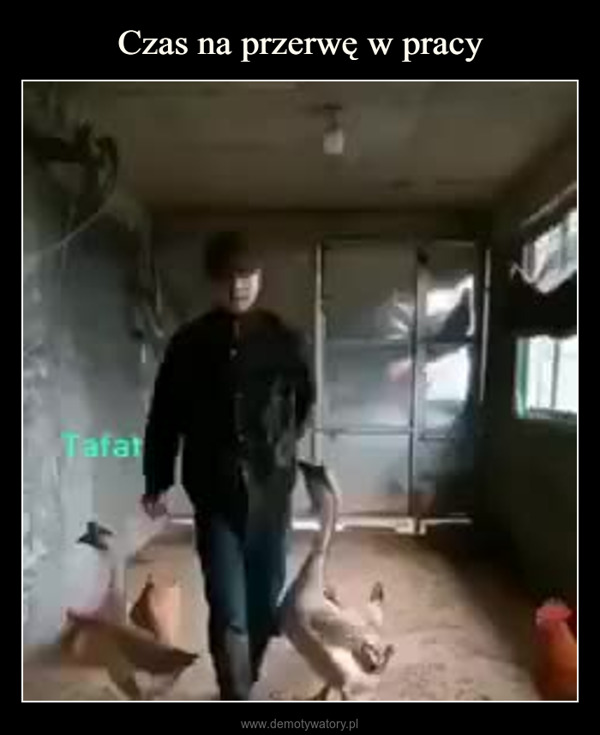  –  