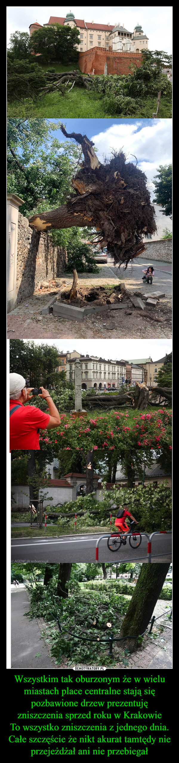 Wszystkim tak oburzonym że w wielu miastach place centralne stają się pozbawione drzew prezentuję zniszczenia sprzed roku w Krakowie
To wszystko zniszczenia z jednego dnia. Całe szczęście że nikt akurat tamtędy nie przejeżdżał ani nie przebiegał