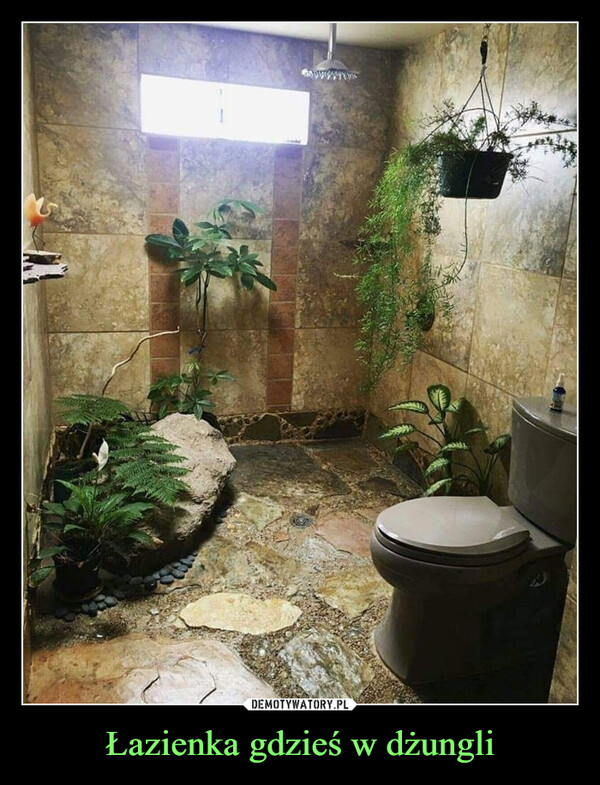 Łazienka gdzieś w dżungli –  