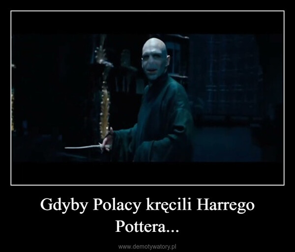 Gdyby Polacy kręcili Harrego Pottera... –  