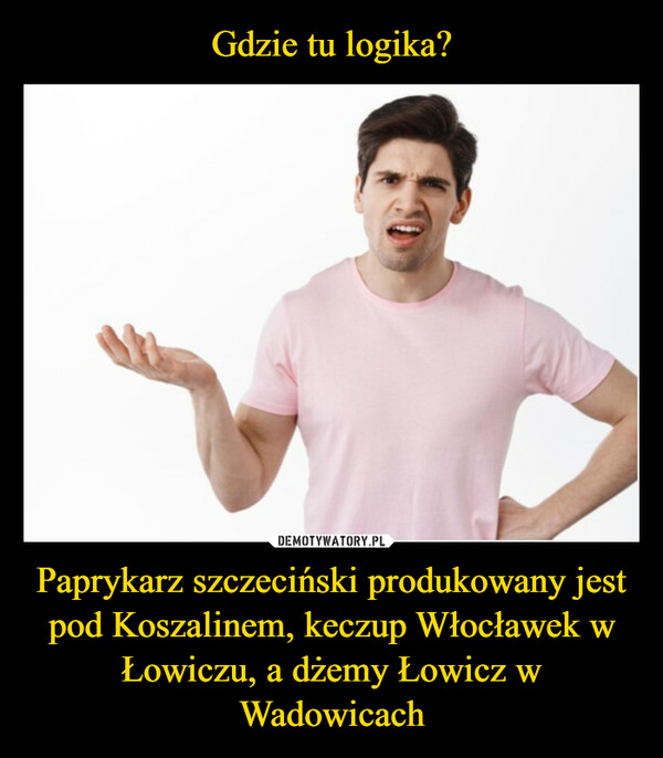 Paprykarz szczeciński produkowany jest pod Koszalinem, keczup Włocławek w Łowiczu, a dżemy Łowicz w Wadowicach –  