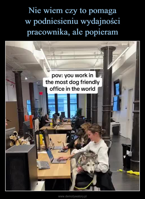  –  pov: you work inthe most dog friendlyoffice in the worldEWIG