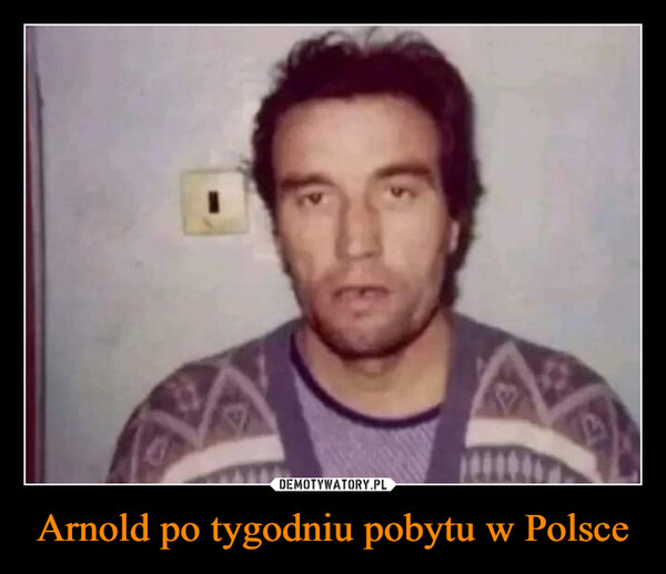 Arnold po tygodniu pobytu w Polsce –  