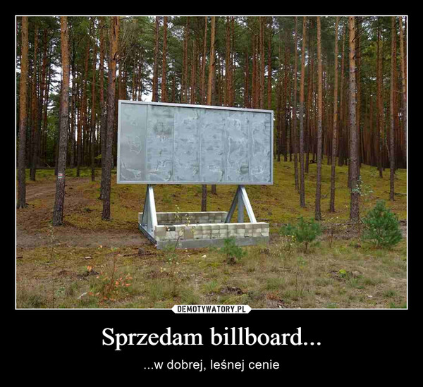 Sprzedam billboard... – ...w dobrej, leśnej cenie 