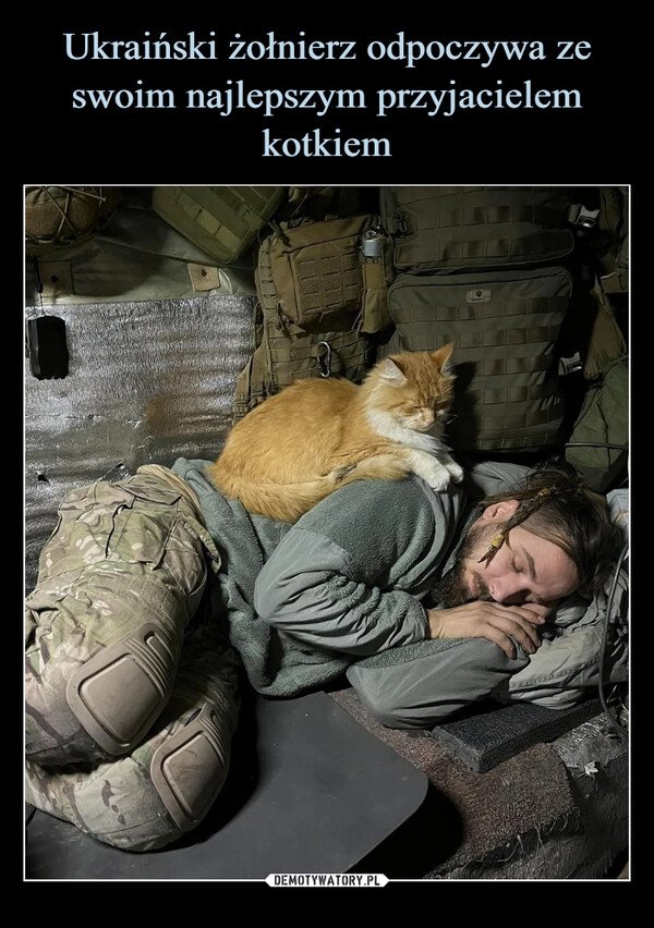 Ukraiński żołnierz odpoczywa ze swoim najlepszym przyjacielem kotkiem