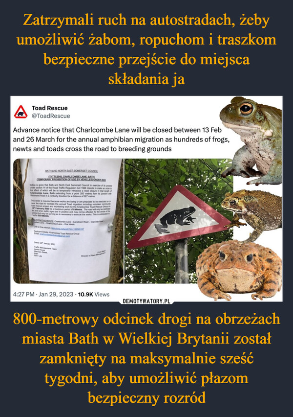 800-metrowy odcinek drogi na obrzeżach miasta Bath w Wielkiej Brytanii został zamknięty na maksymalnie sześć tygodni, aby umożliwić płazom bezpieczny rozród –  Toad Rescue@ToadRescueAdvance notice that Charlcombe Lane will be closed between 13 Feband 26 March for the annual amphibian migration as hundreds of frogs,newts and toads cross the road to breeding groundsBATH AND NORTH EAST SOMERSET COUNCIL(THTTC3048, CHARLCOMBE LANE, BATH)(TEMPORARY PROHIBITION OF USE BY VEHICLES) ORDER 2023Notice is given that Bath and North East Somerset Council in exercise of its powersunder section 14 of the Road Traffic Regulation Act 1964 intends to make an order tothe effect of which will be to temporarily introduce a road closure in that length ofCharlcombe Lane, Bath extending from a point 200 metres from its junction withRichmond Road in a northerly direction for a distance of 827 metresThis order is required because works are being or are proposed to be executed on ornear the road to facilitate the annual Toad migration including volunteer communitytoad rescue project and monitoring work by the Charlcombe Toad Rescue Group on13 February 2023 for a maximum period of 8 Weeks. The road will only be restrictedas and when traffic signs are in position and may not be effected for the whole of theperiod but only for so long as is necessary to execute the works. This is anticipated tobe for SOX WEEKSALTERNATIVE ROUTE: Charlcombe Lane-Lansdown Road-Granville Road-Clers Lane-Charlcombe Lane-Vice VersaLink to One network isulone.network132040107Applicant Details Charicombe Toad Rescue GroupEmak charcombetadpatrofgmail.comDated: 20 January 2023Traffic Management TeamLewis HouseMarvers Street,BathBA1 130Chris MarDirector of Place Manageme4:27 PM Jan 29, 2023 10.9K Views(5)15