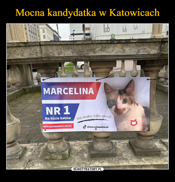 Mocna kandydatka w Katowicach