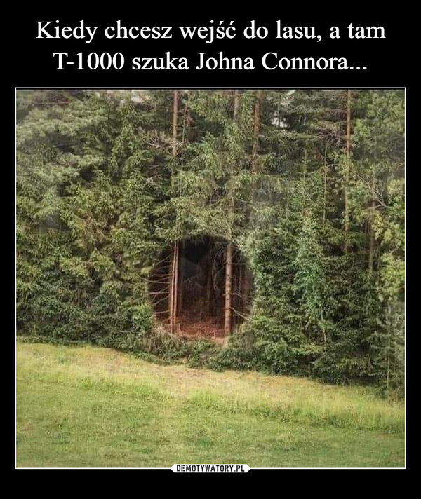 Kiedy chcesz wejść do lasu, a tam T-1000 szuka Johna Connora...