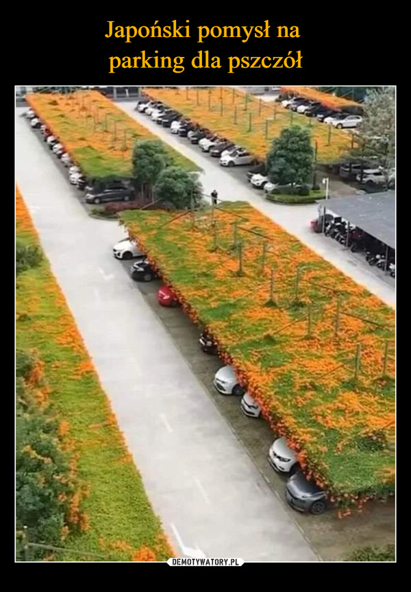 Japoński pomysł na 
parking dla pszczół