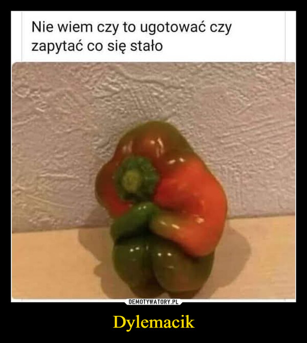 Dylemacik –  Nie wiem czy to ugotować czyzapytać co się stało