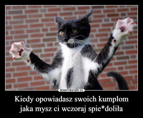 Kiedy opowiadasz swoich kumplomjaka mysz ci wczoraj spie*doliła –  