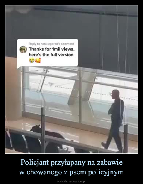 Policjant przyłapany na zabawiew chowanego z psem policyjnym –  Reply to natalegorod's commentThanks for 1mil views,here's the full version