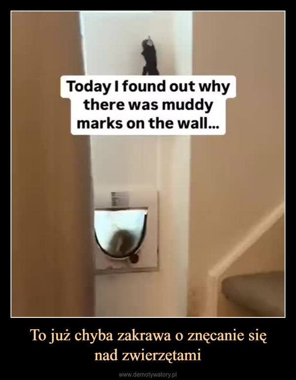 To już chyba zakrawa o znęcanie sięnad zwierzętami –  Today I found out whythere was muddymarks on the wall...